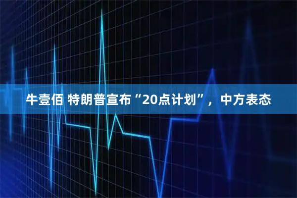 牛壹佰 特朗普宣布“20点计划”，中方表态