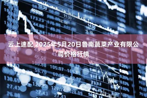 云上速配 2025年5月20日鲁南蔬菜产业有限公司价格行情