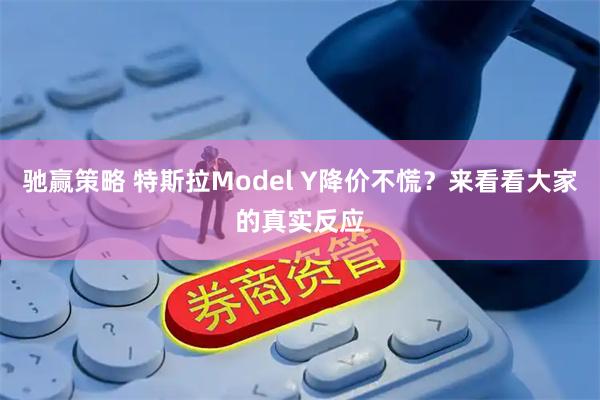 驰赢策略 特斯拉Model Y降价不慌？来看看大家的真实反应